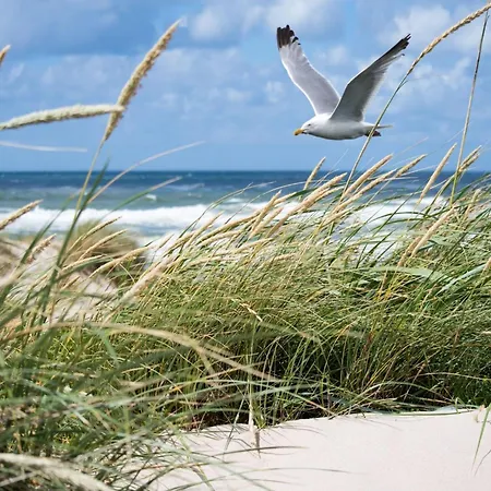 아파트 In Near Het Zoute District