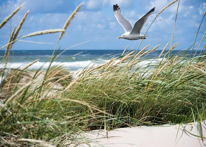 Appartement In Near Het Zoute District